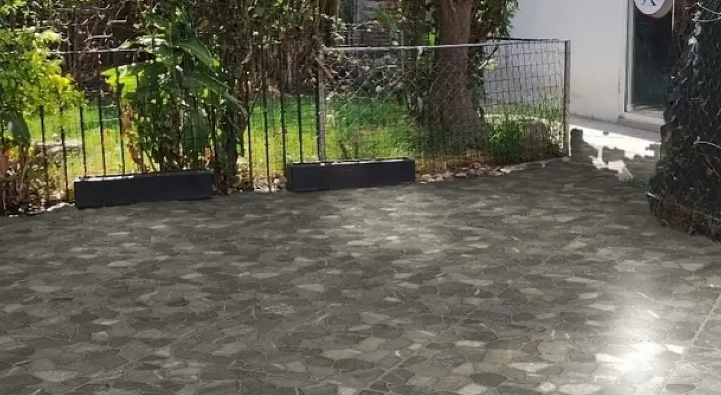 Servicios Estética Canina Móvil y Veterinario a domicilio en CDMX