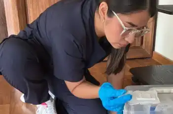 Veterinario evaluando muestras de mascota